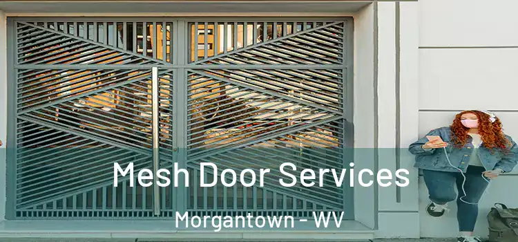 Mesh Door Services Morgantown - WV