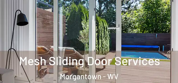 Mesh Sliding Door Services Morgantown - WV